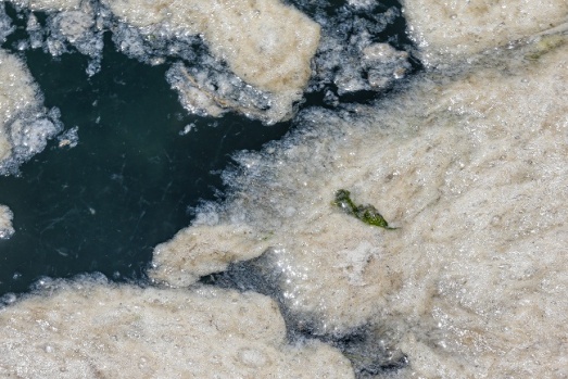 Yalova’da ilk gün 10 ton salya temizlendi
