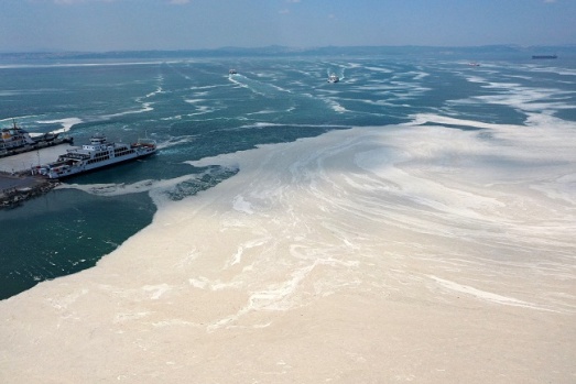 Yalova’da deniz beyaza büründü, İşte Felaketin fotoğrafları