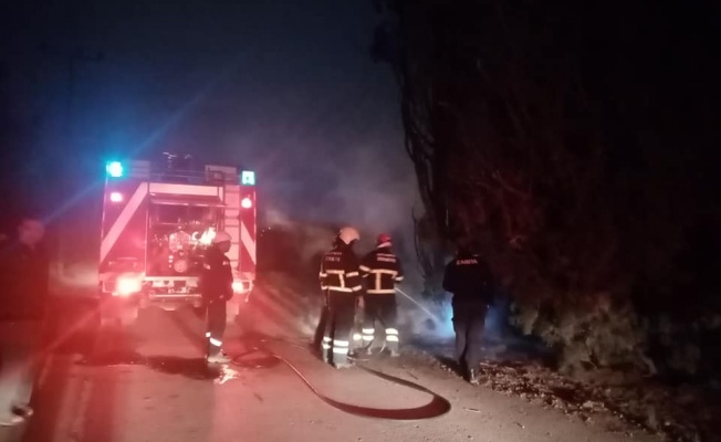 Altınova’da çıkan yangın söndürüldü