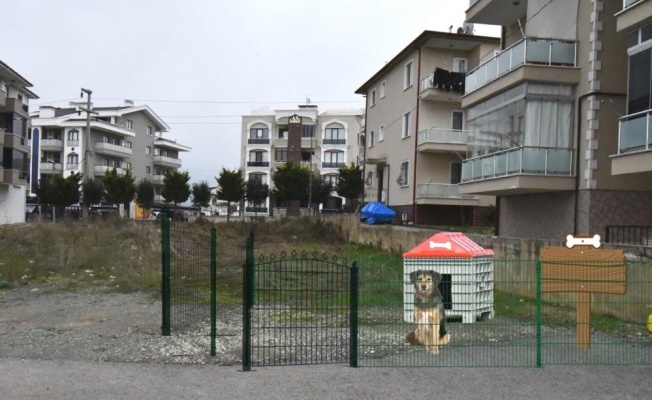 Altınova’da canlar’a özel proje