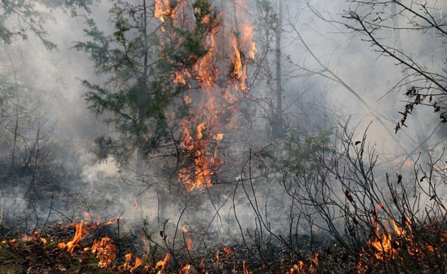 Yalova’ya ‘Orman Yangını’ uyarısı