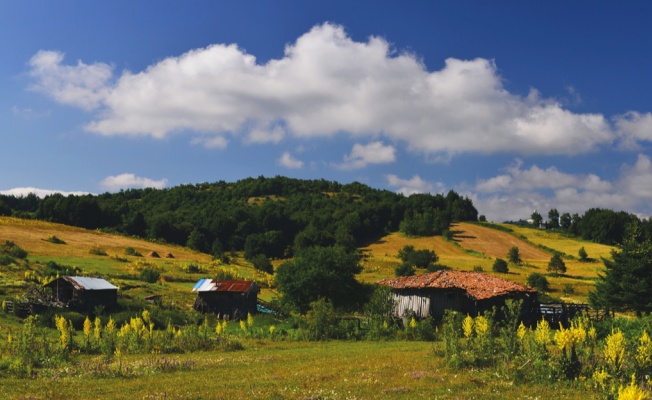 Türkiye’nin en büyük köyleri listesinde Yalova’dan bir köy var!
