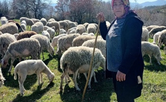 Yalova’nın kadın çobanı takdir topluyor