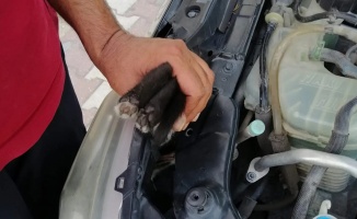 Çiftlikköy’de aracın motoruna giren kediyi itfaiye kurtardı