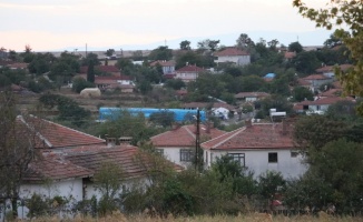 8 köyde 'mavi dil' karantinası