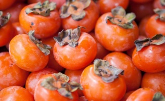 Yalova'da üretilen meyvenin Covid'e iyi geldiği Japon bilim insanları tarafından açıklandı
