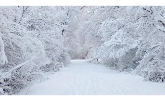Yalova'nın yüksek kesimlerinde kar yağışı etkisini gösteriyor